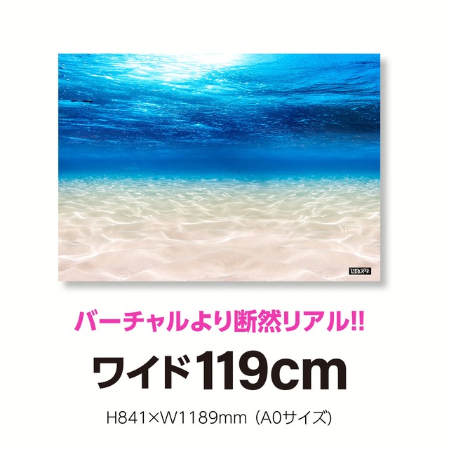 【NO-004A】A0規格（H841×W1189mm）／自然・風景／海〈はがせるシール付き〉：貼るだけでスタジオ気分!!【テレワーク・撮影用壁紙ポスター】