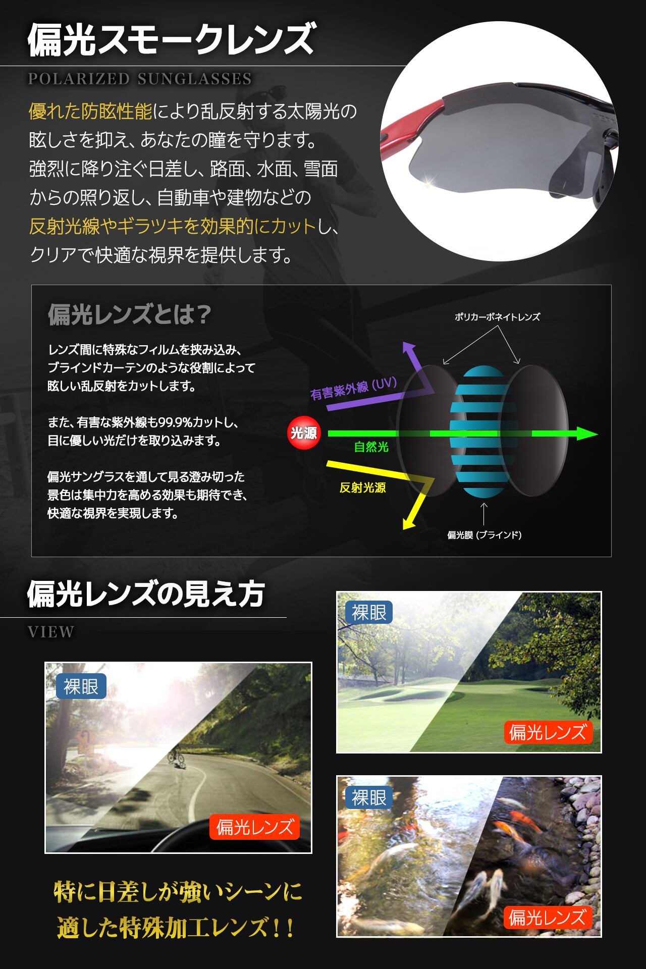 フェリー Ferry 偏光レンズ スポーツサングラス フルセット専用交換レンズ5枚 ユニセックス 7カラー Ferrydirect