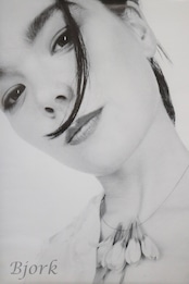 Bjork 2001 U.K. promo poster