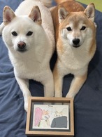 「一緒につくろう、うちの子カレンダー」-先月の思い出を今月の主役に-