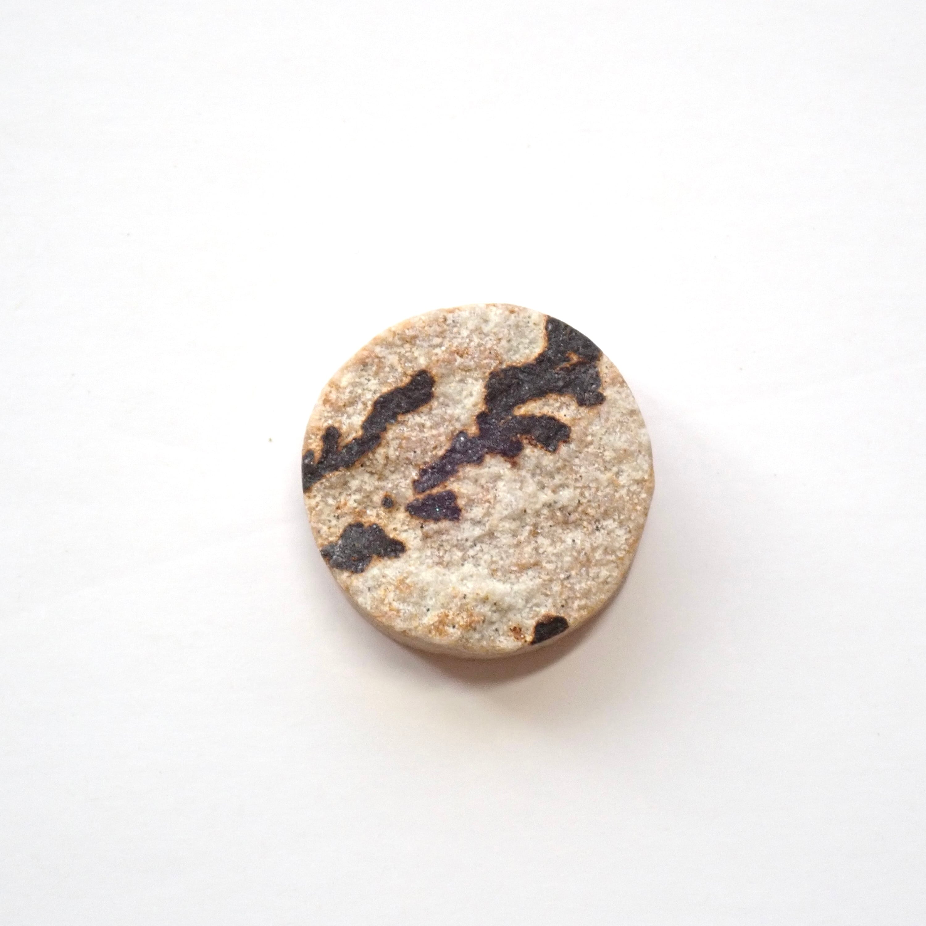 ジャーマン・デンドライト　03