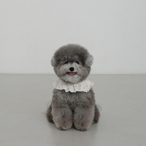 【予約】[ OHDIBS ] CAPENESS leash｜NO.20 _MINI DOT