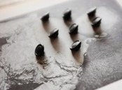 1900s フランス 漆黒の満月と世紀末的黒ボタンセット jais フレンチジェット アンティーク