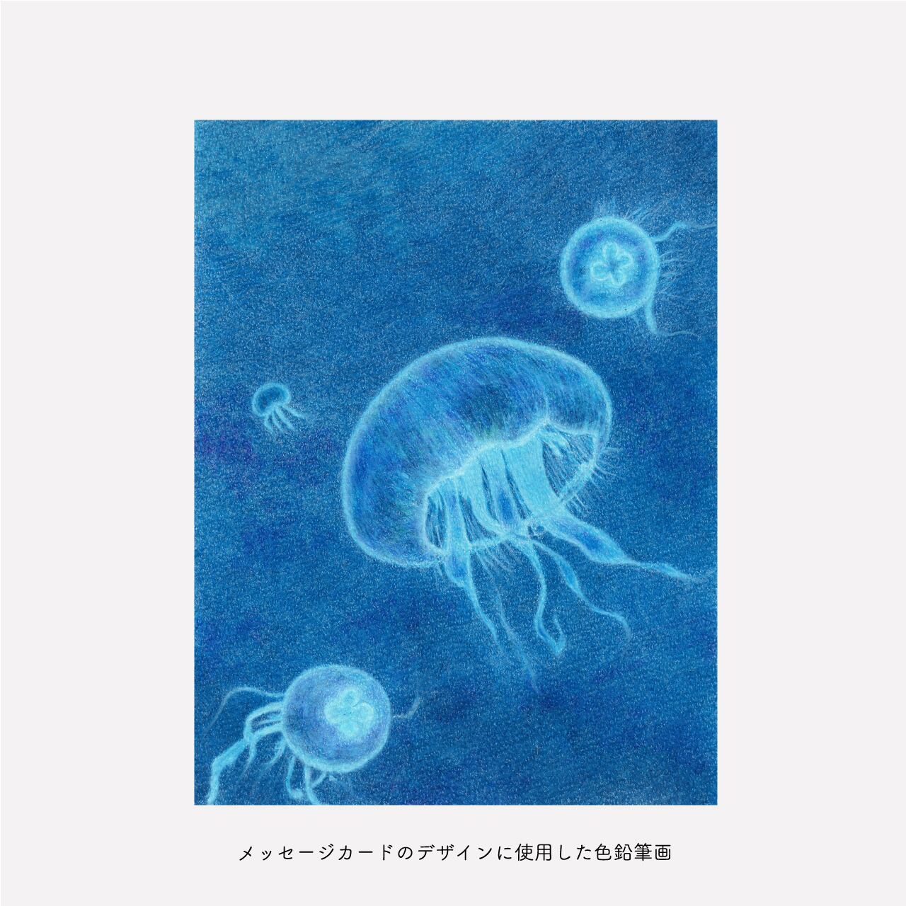 あおくらげページ 新江ノ島水族館のクラゲが電車内を漂う！ 小田急線「くらげとれいん