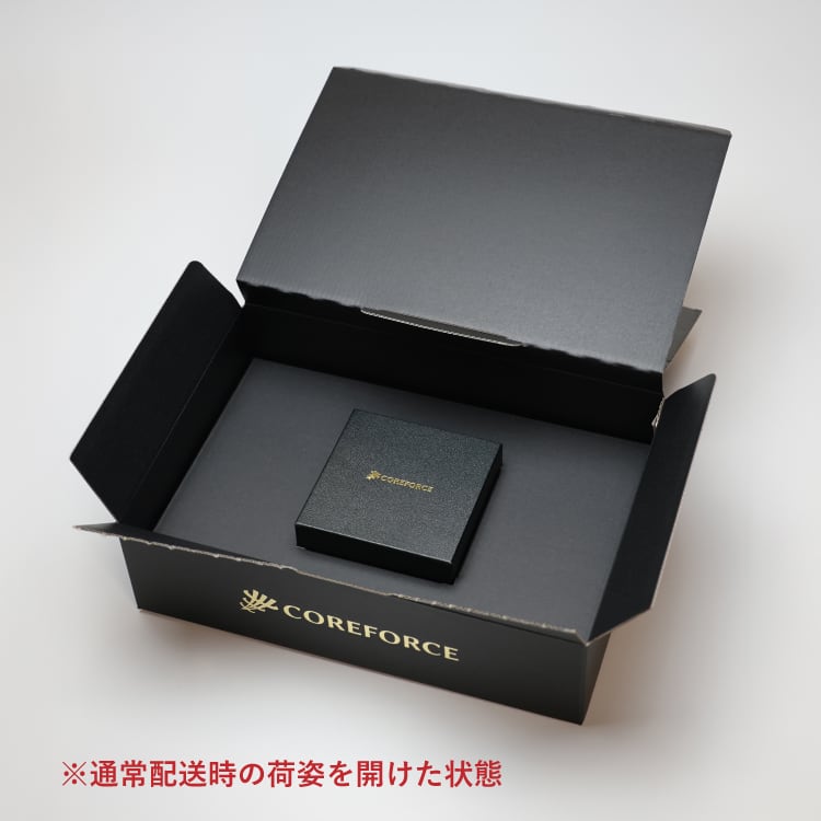 COREFORCE コアフォースループ SUS70cm ホワイト 箱・保証書つき コア