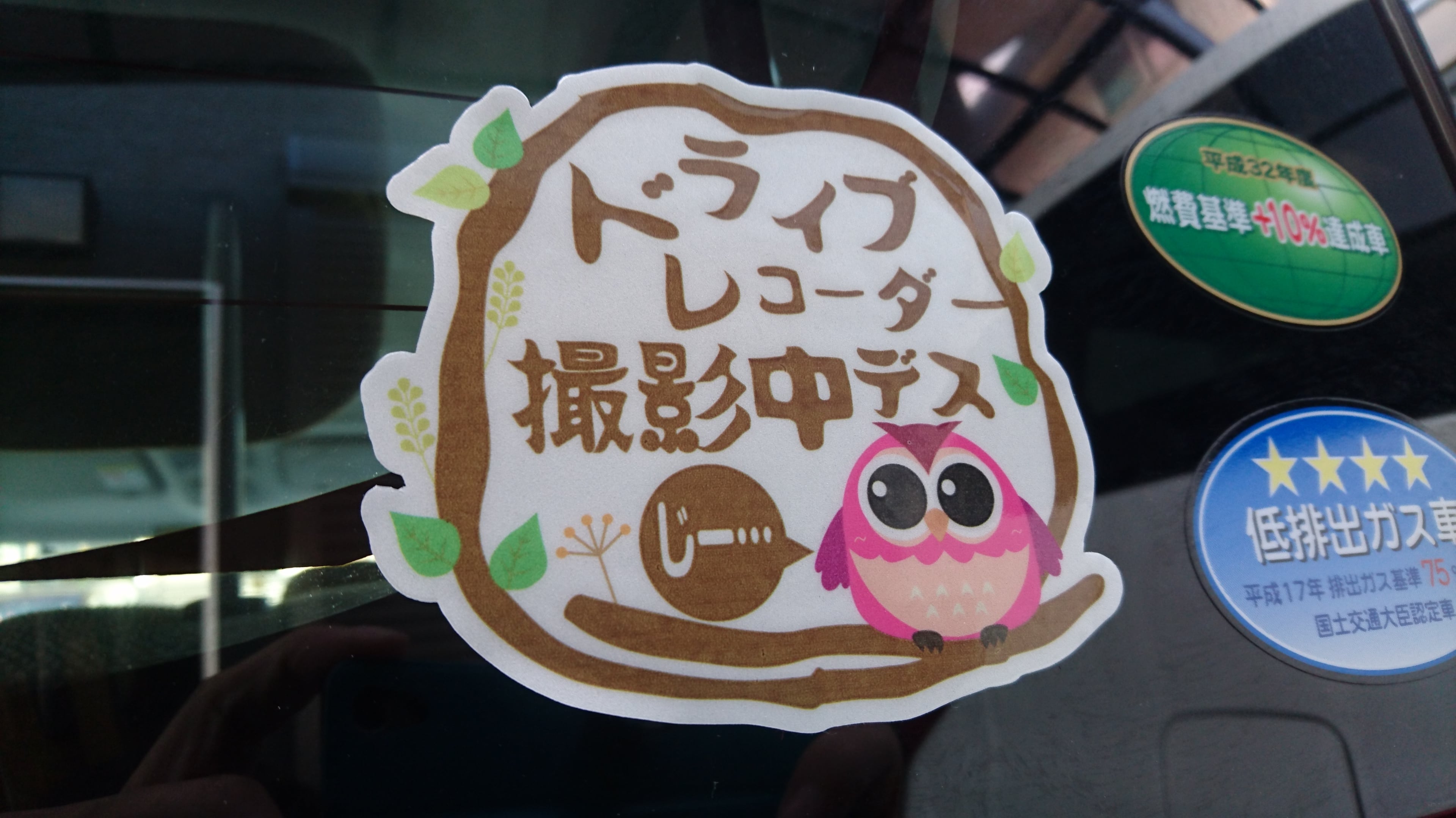 フクロウがかわいい「ドライブレコーダー撮影中デス」ステッカー 