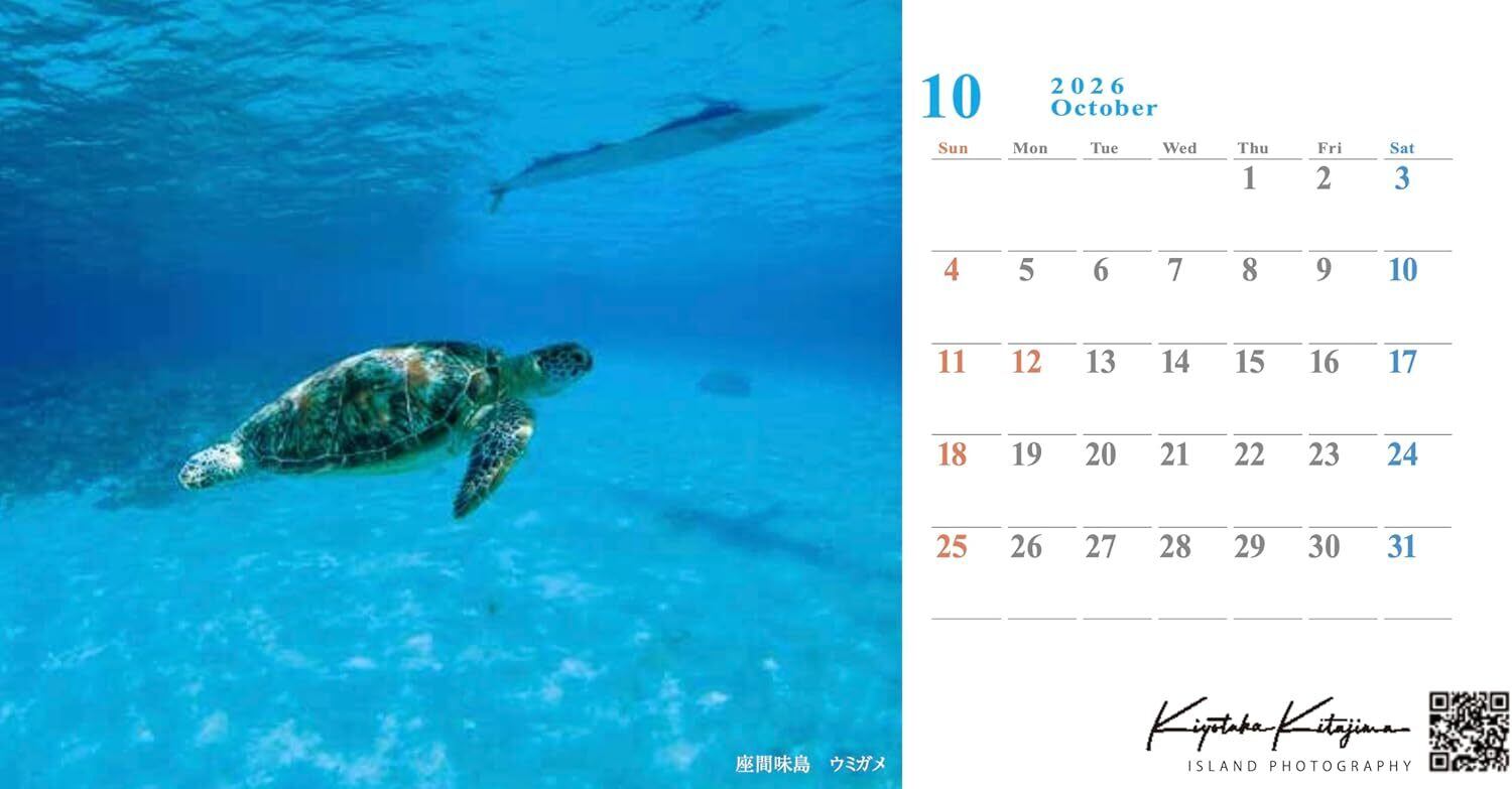 ネコポス 2026沖縄島旅カレンダー（卓上）北島清隆 | 沖縄良品ショップ