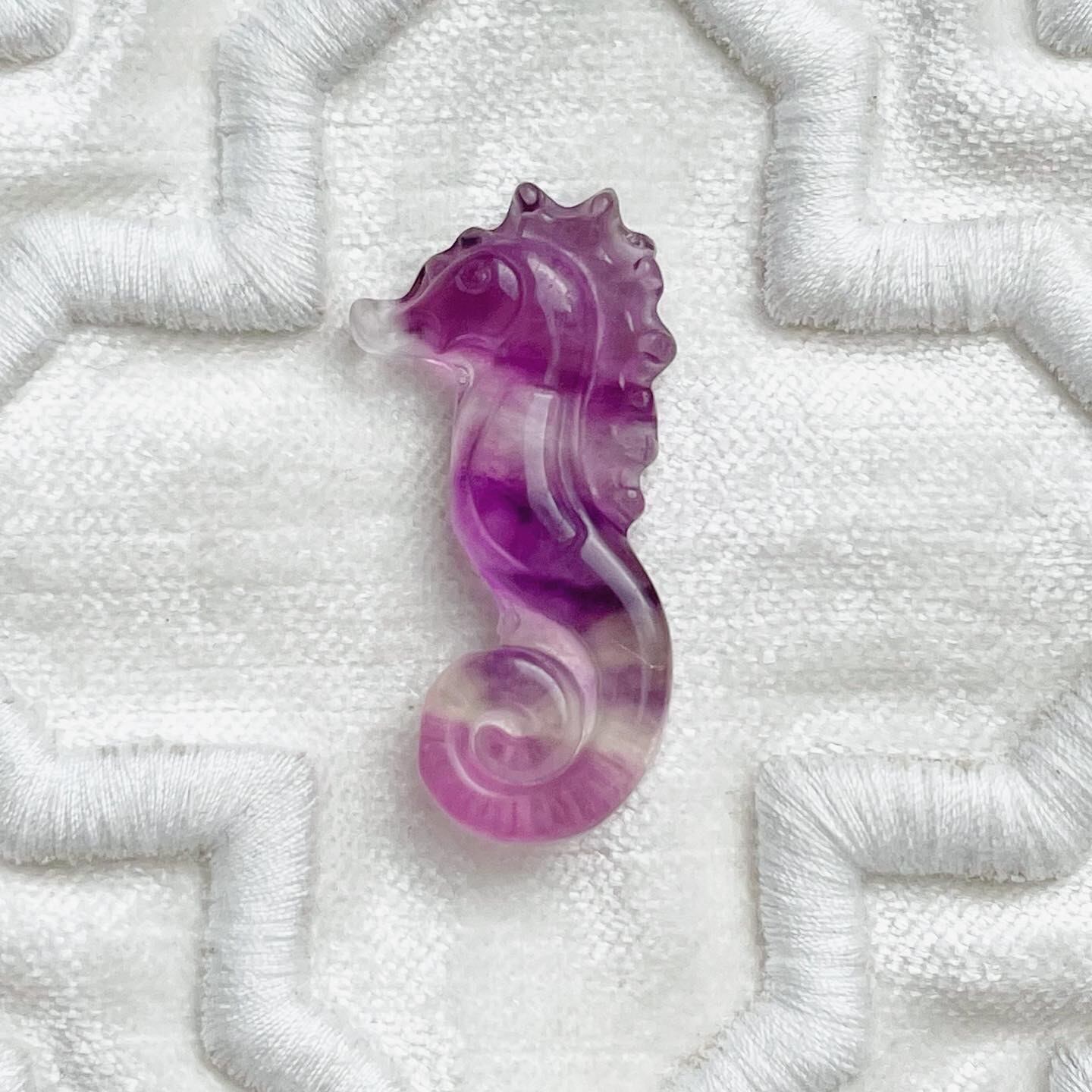 Fluorite Seahorse 3