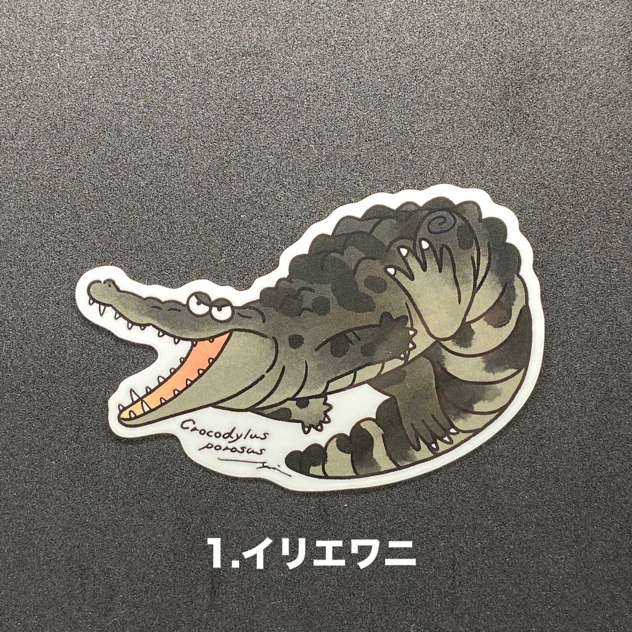 ゆるワニ ステッカー 5枚セット＜雨宮ひかるさんデザイン＞ | 熱川