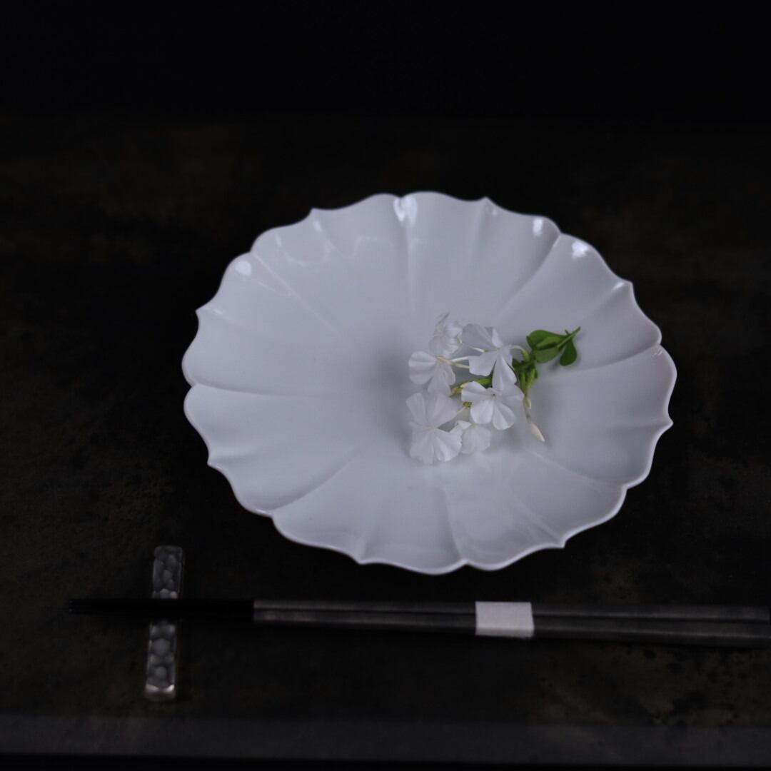 AS 宮田竜司 稜花白磁6寸皿(中) | 芦屋貴兆陶家 online shop
