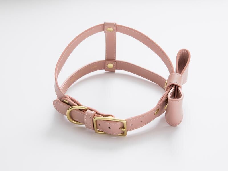 イタリアンレザーハーネス リボン付き- ピンク | LIC ONLINE STORE