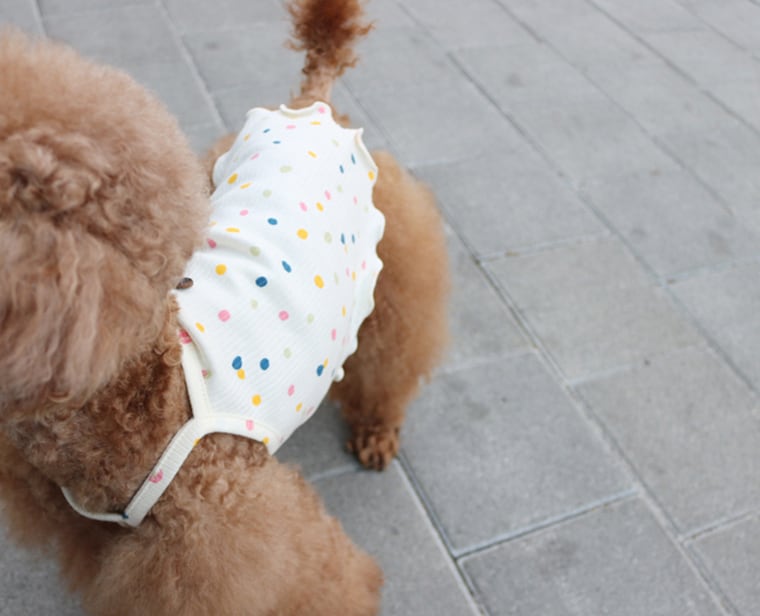 【SALE】 mini dot top S ~ XL 2color / 犬服 春夏 新作 Tシャツ ドッグウェア シンプル 袖なし 小型犬 中型犬 トップス 涼しい タンクトップ