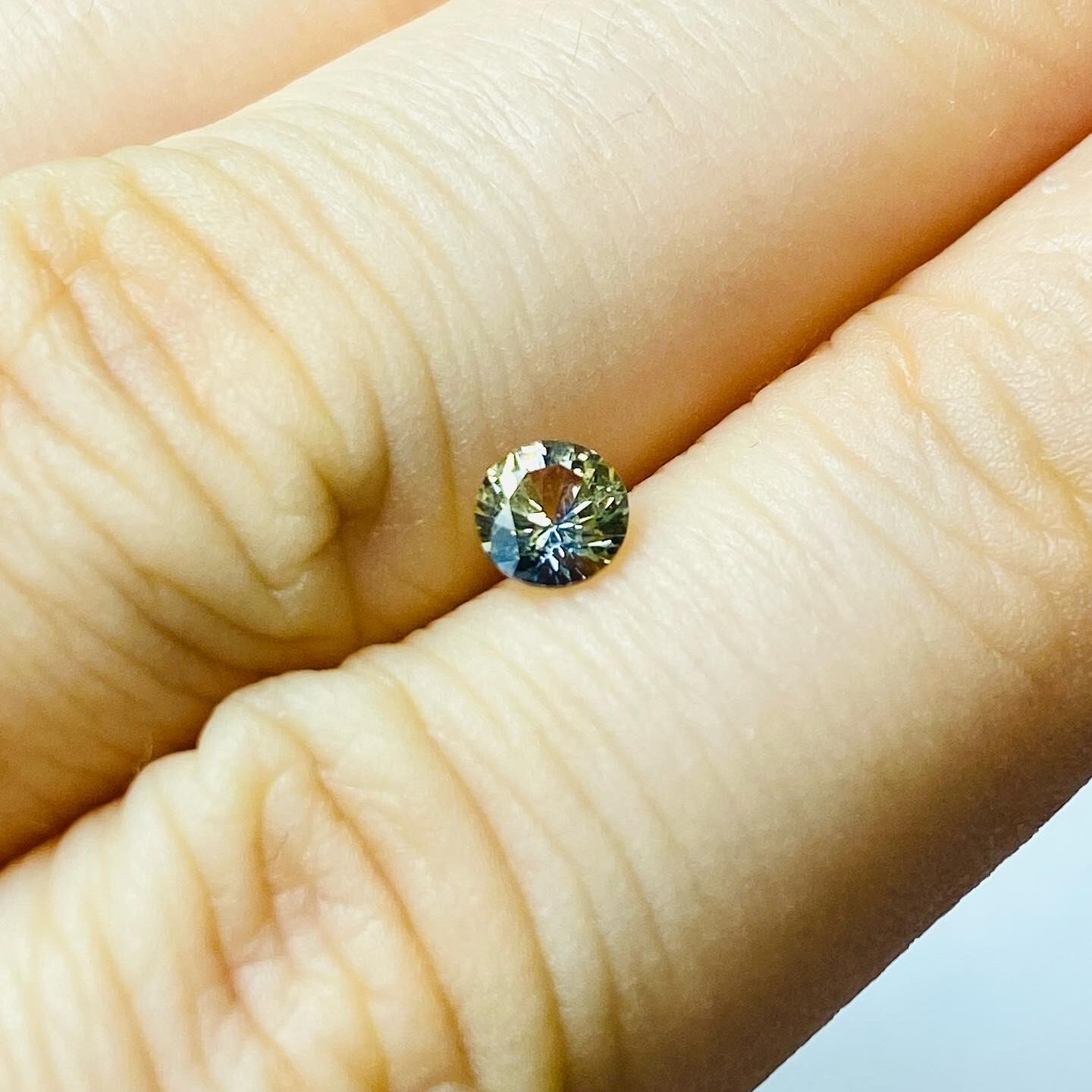 菜の花に青空　サファイア