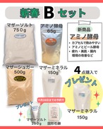 【新春キャンペーン】　新春Bセット(アミノ酵母含む４点セット）