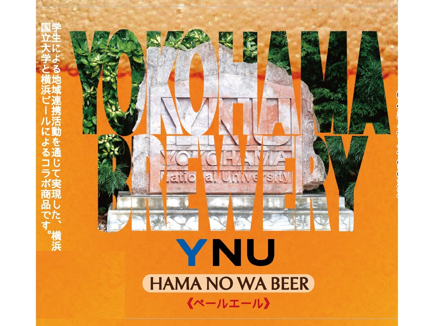 横浜国立大学『ハマノワビール』6本セット/ペールエール