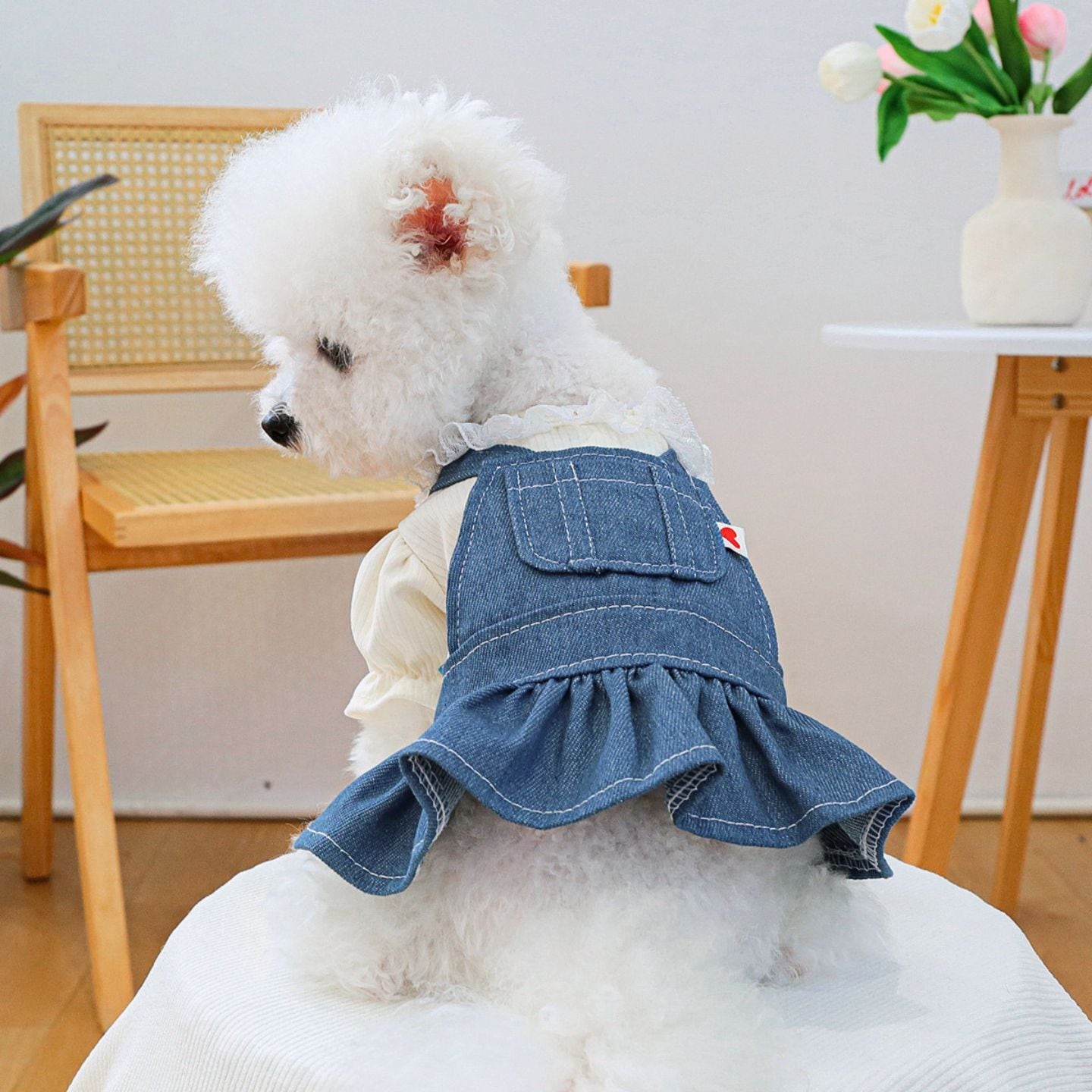 ハンドメイド犬服・デニム風ギャザーたっぷりワンピース 予約】フリルブラウス風デニムワンピース｜重ね着風 ガーリー犬服 小型