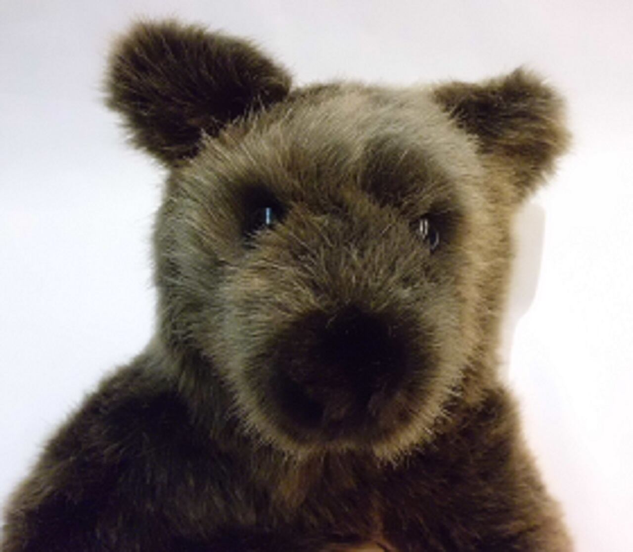 KOSENケーセン社 / ソフトブラウンベア(小) | wg-anne