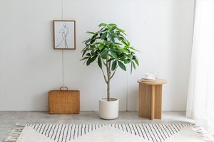 【高さ120cm】Nature 光触媒人工観葉植物　パキラ