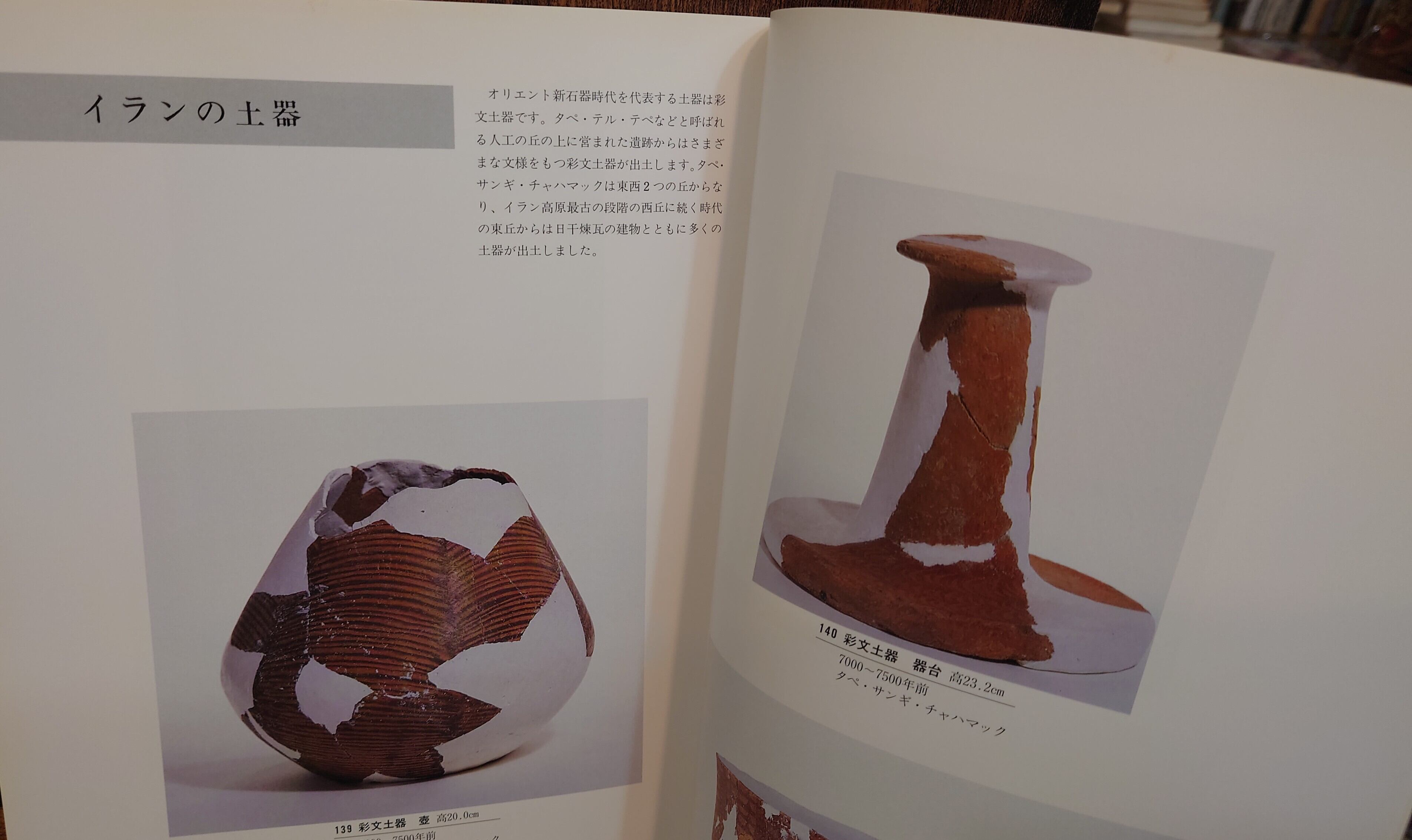 特別展 縄文土器の世界 図録 | 弥生坂 緑の本棚