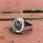 StaceyHare Jewellery Silver and Gold Scorpion Signet Ring　SilverJewelry accessory