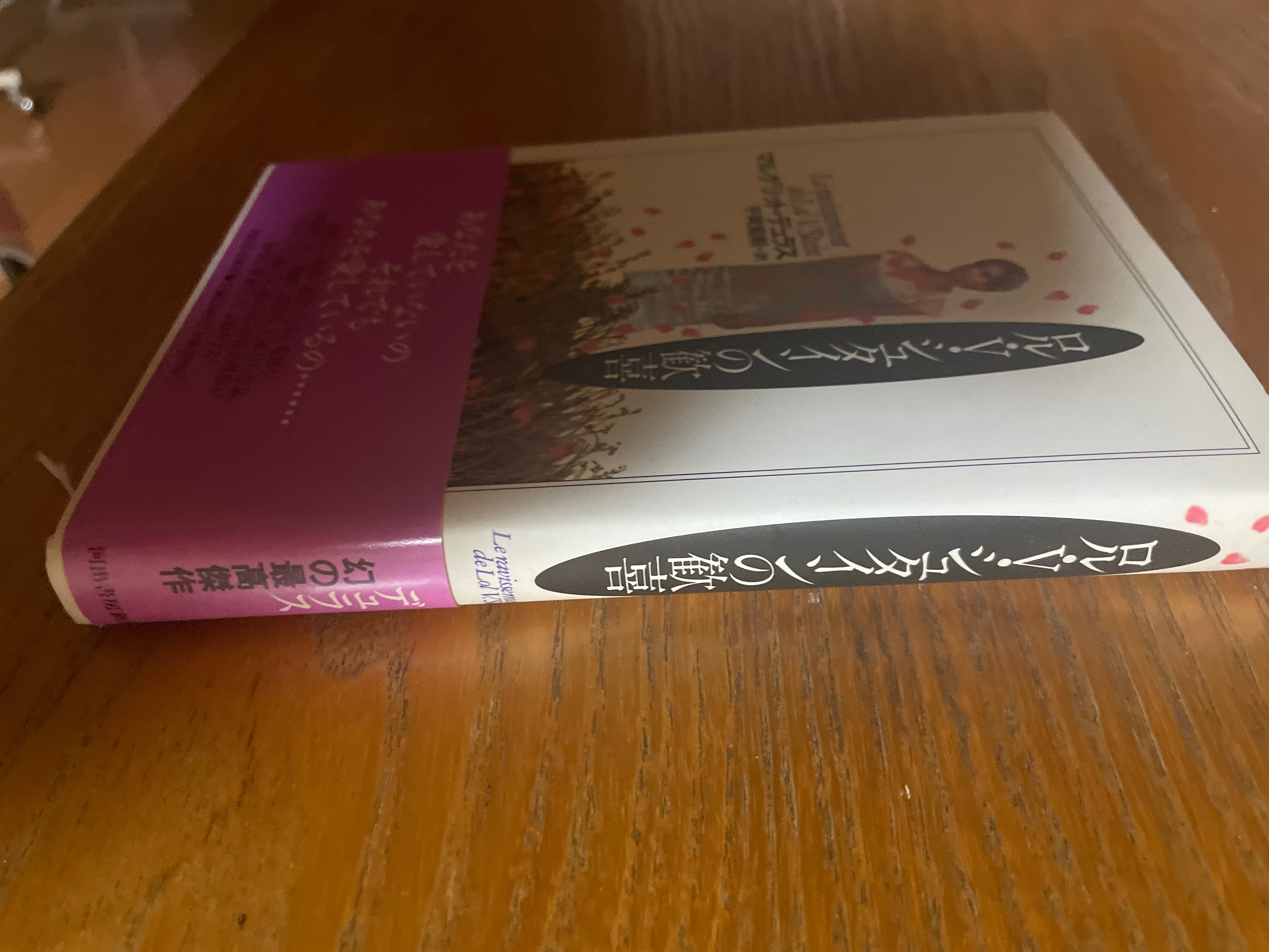 ロル・V・シュタインの歓喜 | kakusinbooks 革新ブックス