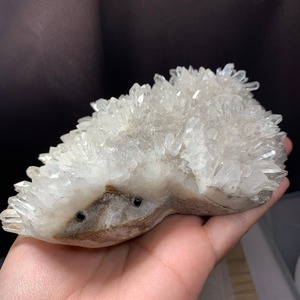 激レア！希少なダブルフェイスハリネズミ・水晶クラスター