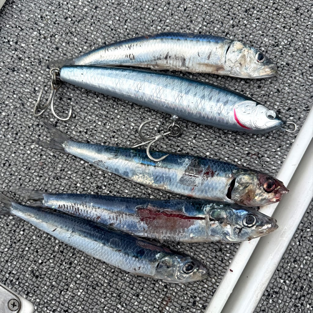 夢新 WSPーDEATHFLUTTR®190S/125 アルミグリーンマッカレル | NABLA