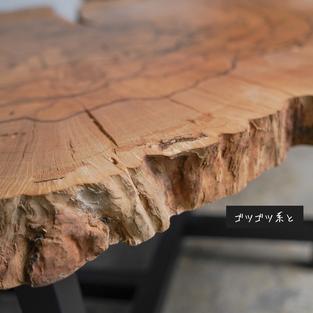 スポルテッド樫の輪切り一枚板 ローテーブル