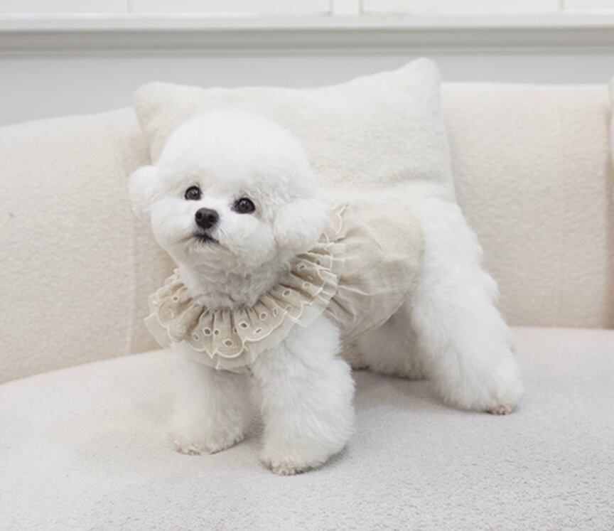 〖即納〗C0022 モネワンピース