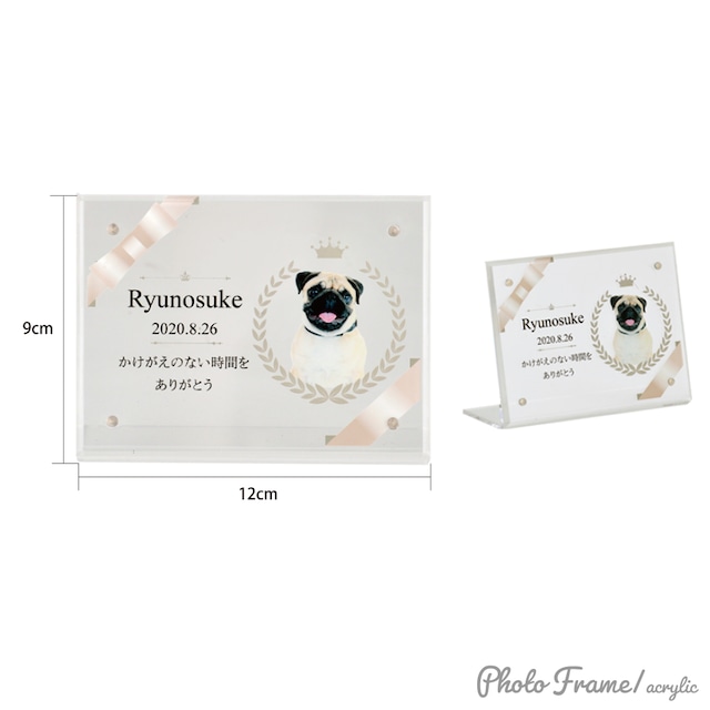 うちの子ブランケット