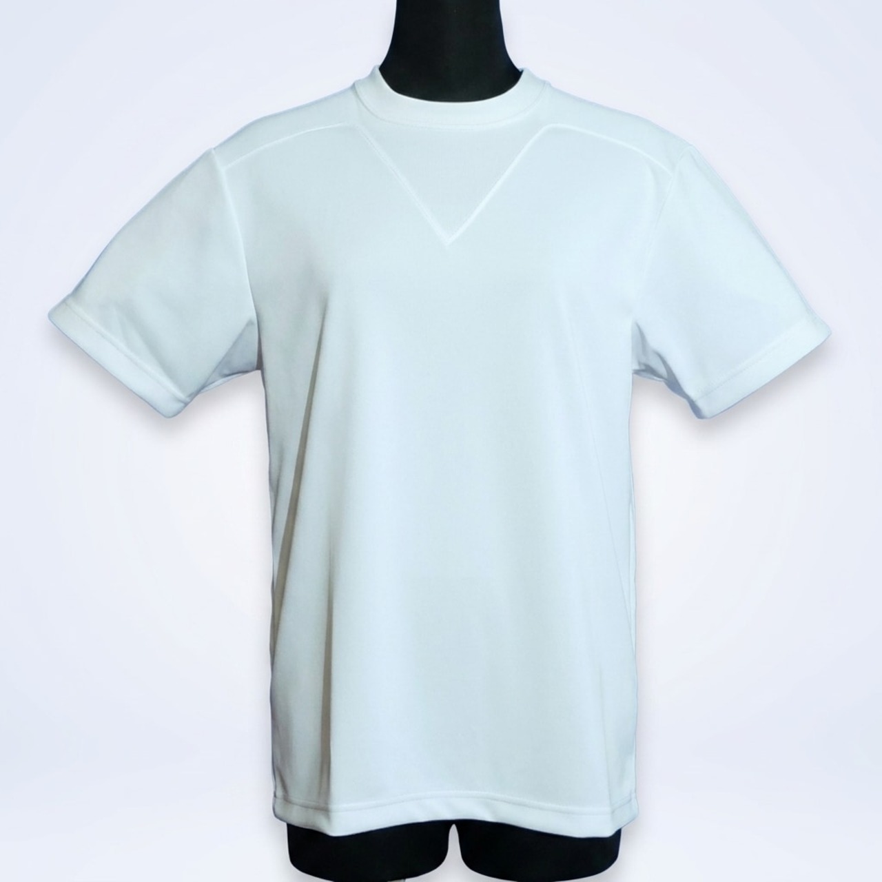 小学校　Tシャツタイプ　丸首半袖体操服