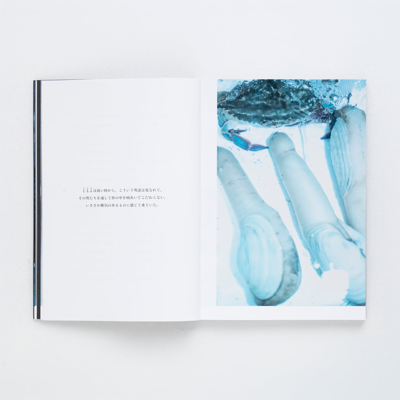 遠藤文香：Ayaka Endo: Kanoko【日本語版】 ☆著者サイン入り | bookshop M