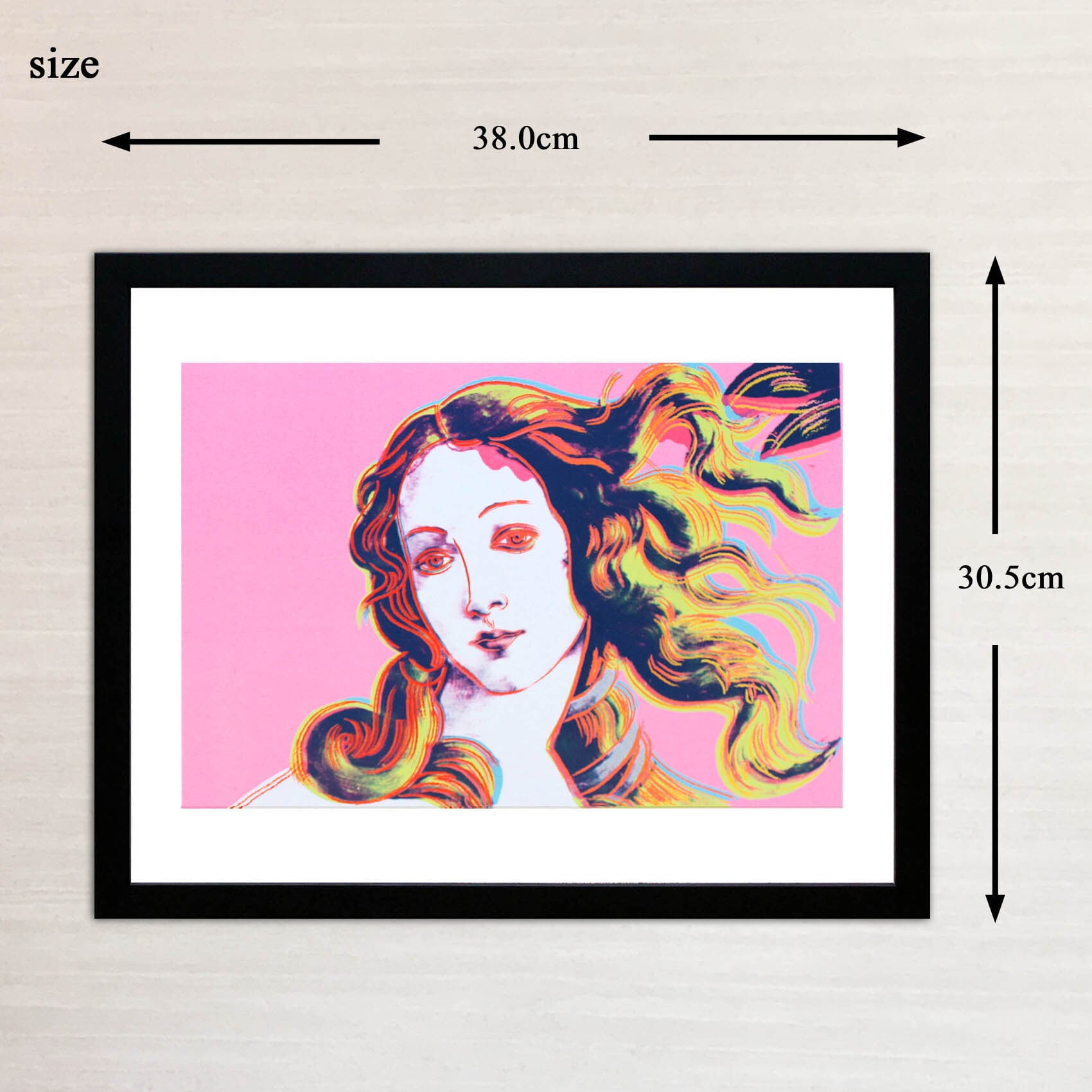 アンディ ウォーホル 絵画「ヴィーナスの誕生(ピンク) ,1984」展示用フック付ポスター ポップアート Andy Warhol