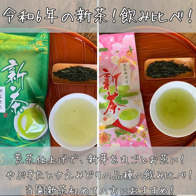 【予約は送料無料5/1まで】新茶2種飲み比べ　荒茶仕立てやぶきた＆さえみどり　70ｇ×2種　