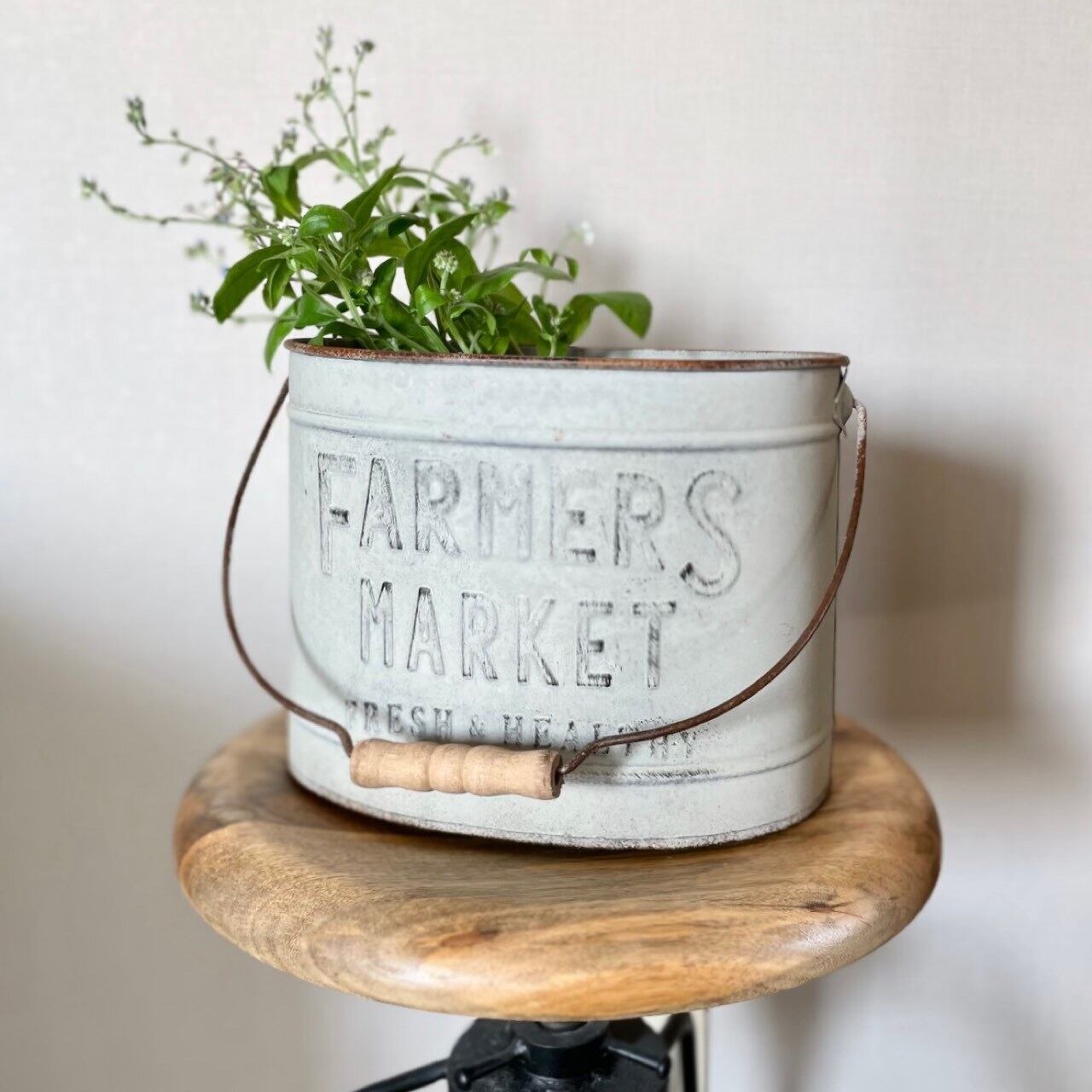 【 完売 】ファミエール シャビーペール 《 M 》|フラワーポット ブリキバケツ