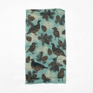 チャオラス CHAORAS / スポーツてぬぐい / ライチョウ&ホシガラス