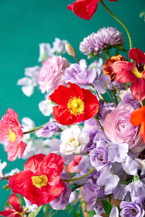 ◉12/21（日）までSALE中です◉