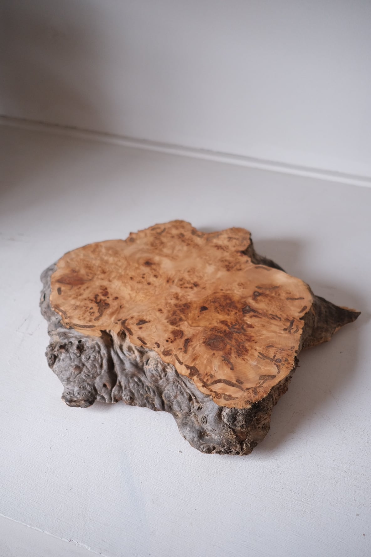 楓 コブあり 楓の瘤台 B | TORINOKI FURNITURE