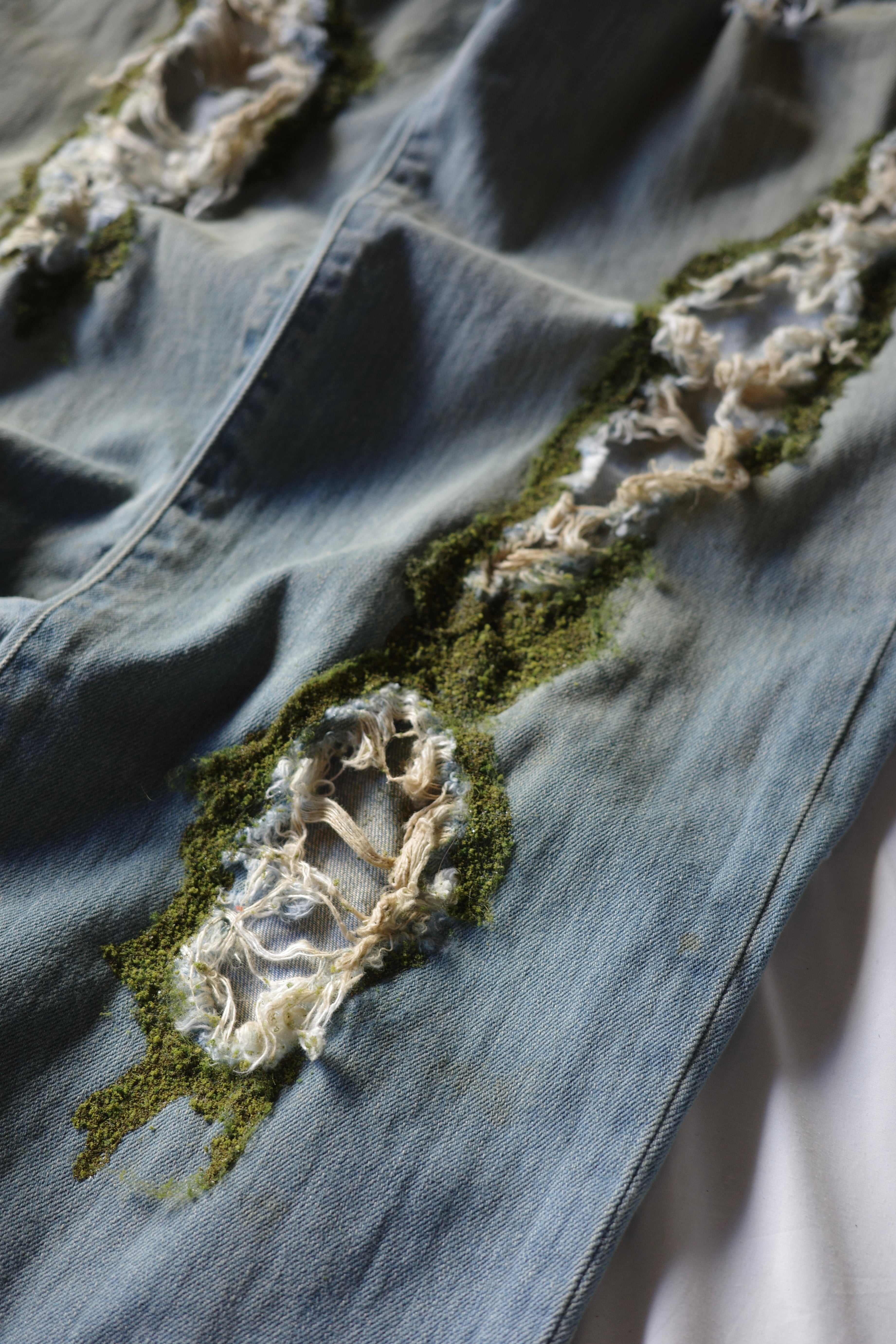 LITTLE.BEDROOM 【WARP HOLE DENIM -Moss-】 | lloomm