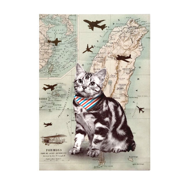 台湾ポストカード 猫 「台湾と猫」A