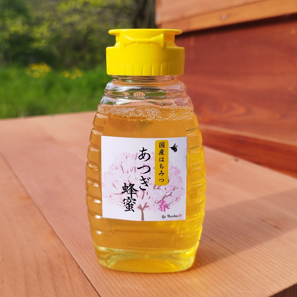 Springhuney 2025 Spring Honey 230g 春蜜 | LaRuche38