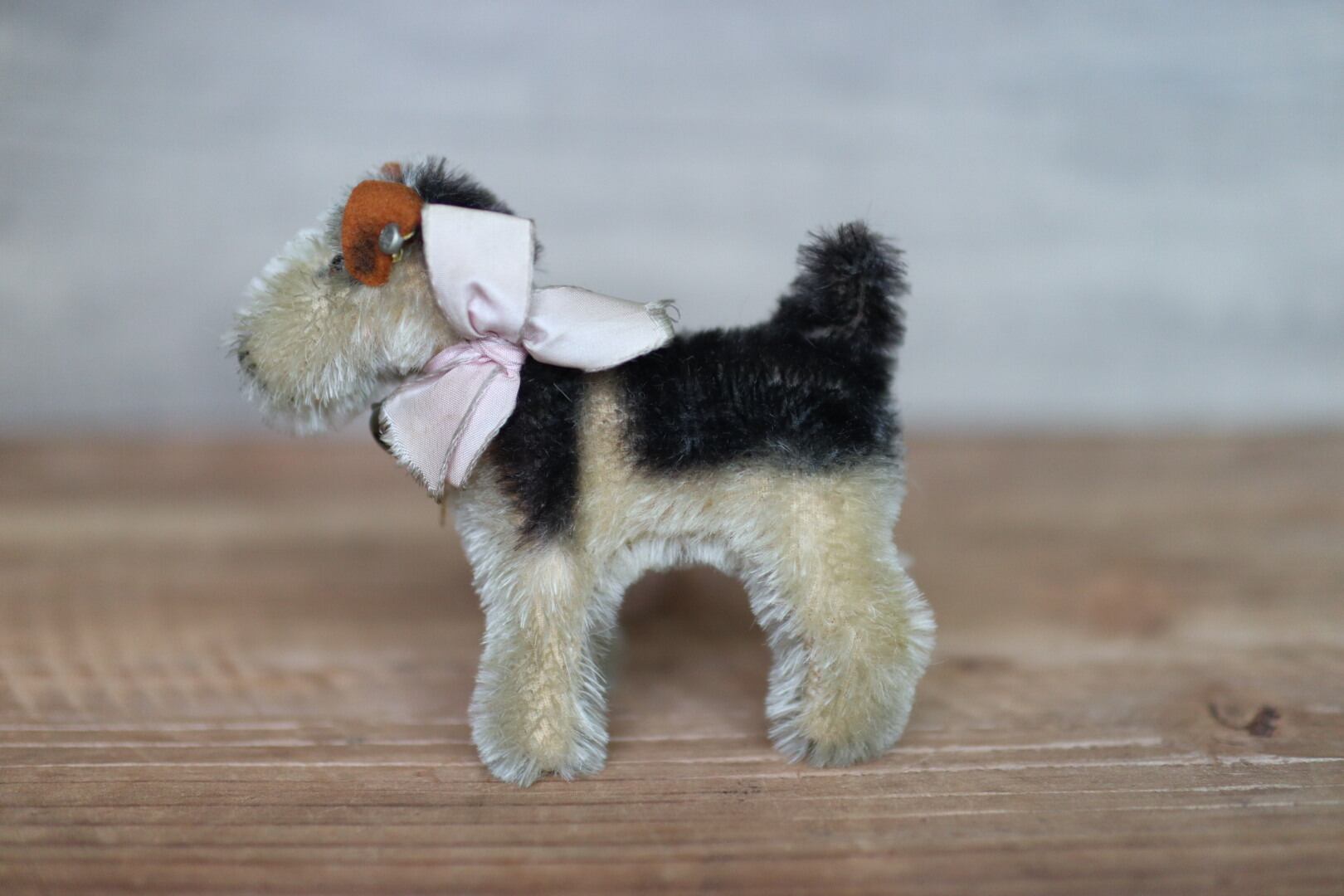 アンティーク シュタイフ 犬 エアデールテリア Terry
