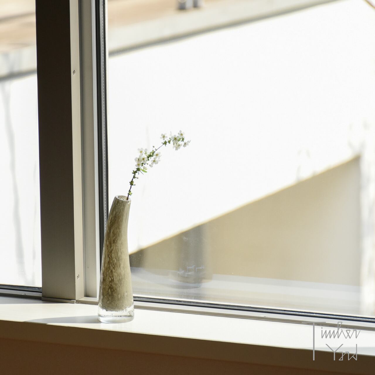 Grass S / グラヴィエ / H16cm / 手吹きガラス / グラス