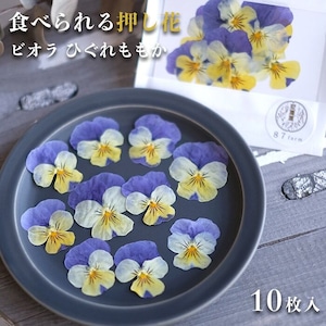 【87farm】食べられる押し花 10枚（ビオラ ひぐれももか）