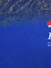 Budweiser T-Shirt "Anteater This Bud's For You" 1995s / バドワイザー