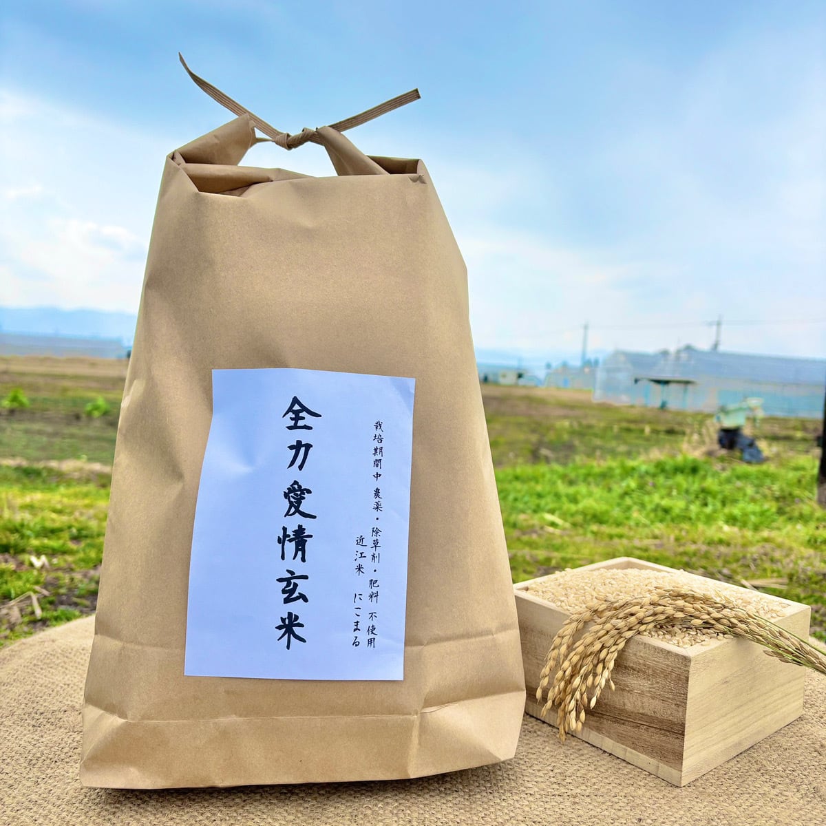 通常包装】 『神の米』（玄米 5kg 栽培期間中農薬不使用 化学肥料 除草