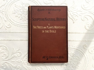 【CV542】Scripture Natural History I: The Trees and Plants Mentioned in the Bible / display book