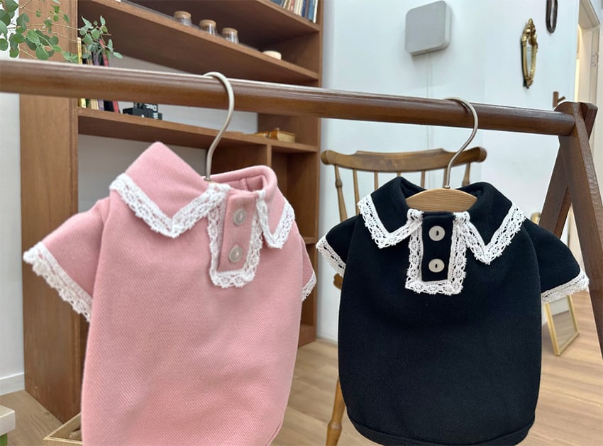 muse pk t-shirt S ~ XL 2color / 犬服 秋冬 新作 トップス シンプル 長袖 ドッグウェア 犬 服 小型犬 中型犬 襟付き tシャツ レース