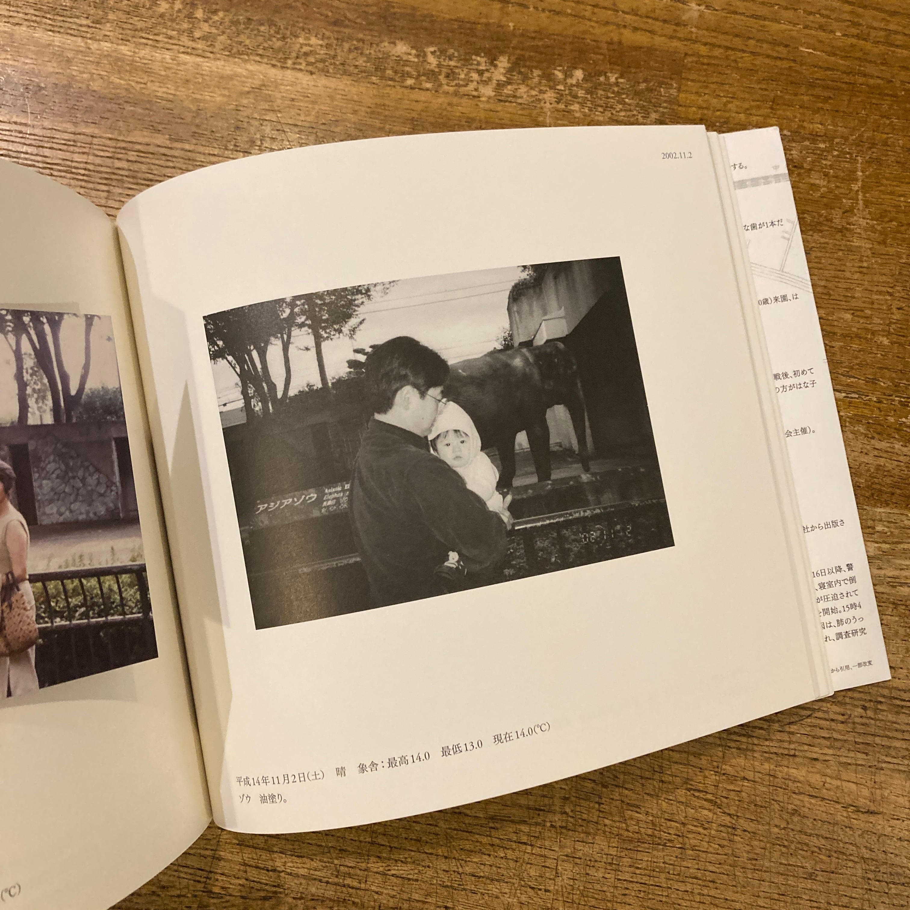 はな子のいる風景　アートブック　武蔵野市立吉祥寺美術館 はな子のいる風景 イメージを（ひっ）くりかえす | 百年