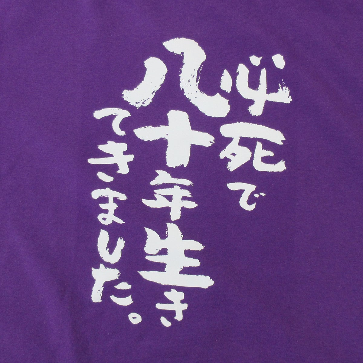 必死で八十年生きてきました。 傘寿祝い Tシャツ ka300-92